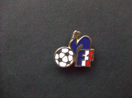 EK voetbal Frankrijk logo haan